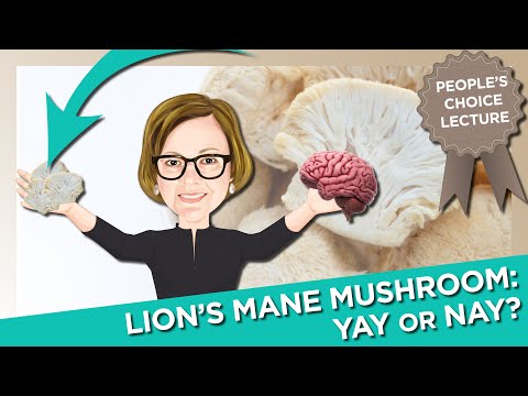 Lion's Mane Mushroom for Brain Health: Yay or Nay?