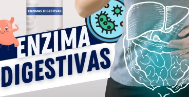 Enzimas digestivas naturais